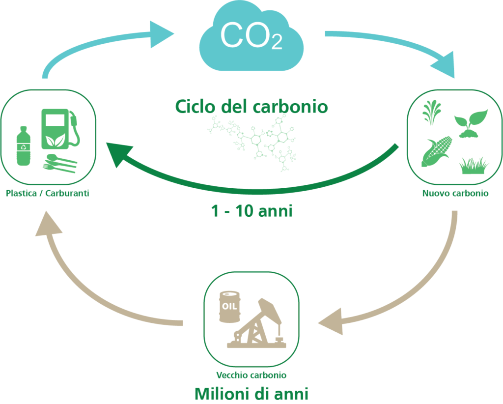 Bioplastiche 101. Modello di ciclo del carbonio.