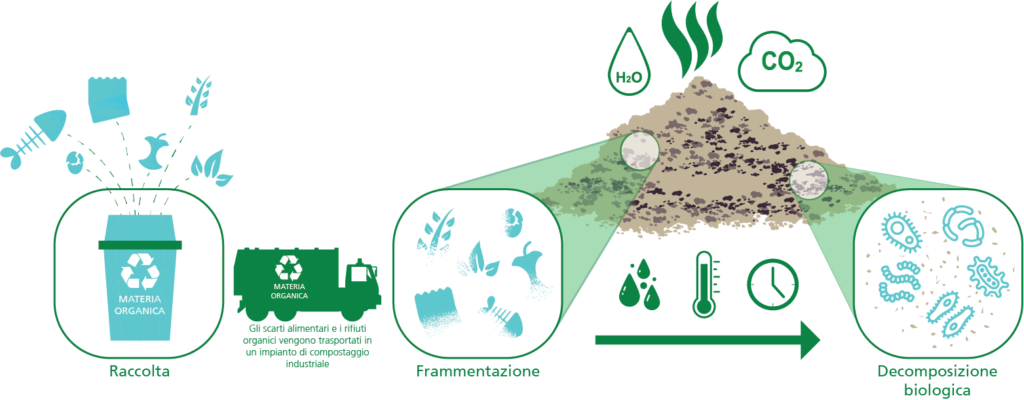 Bioplastiche 101. Il processo di biodegradazione.